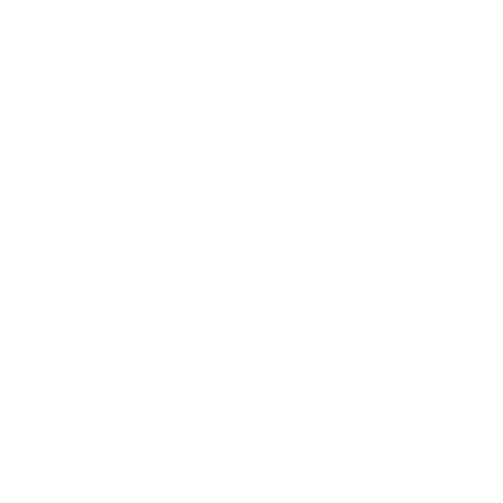 dentis usa logo